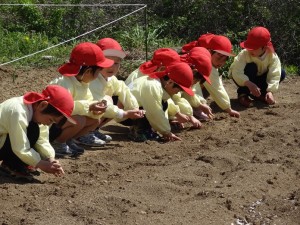 DSC04069.jpgコピー