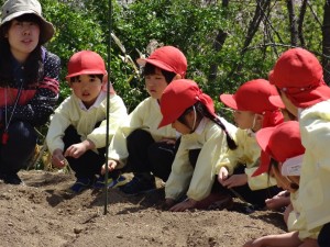 DSC04075.jpgコピー