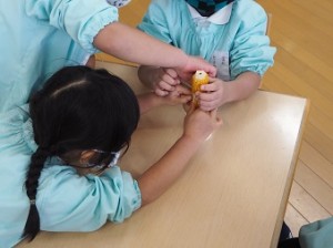 OLYMPUS DIGITAL CAMERA